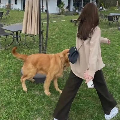 糟糕历史第三季