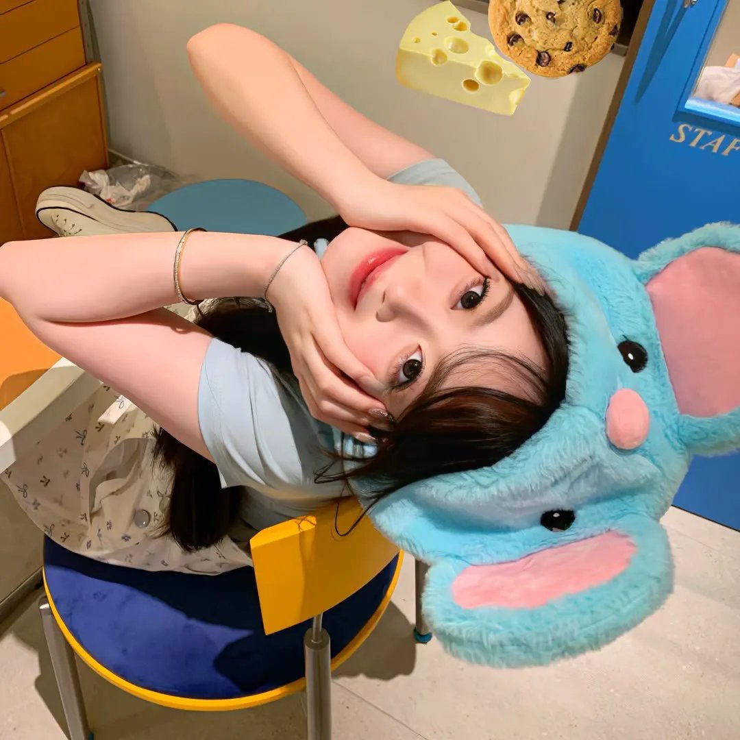 混沌的秩序
